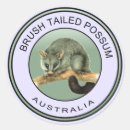 Pesquisar por gambá adesivos Animal