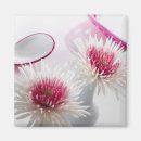 Pesquisar por flores delicadas imas Rosa