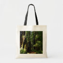 Pesquisar por samambaias bolsas tote Natureza
