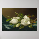 Pesquisar por veludo azul pôsteres Martin johnson heade
