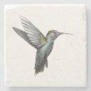 Pesquisar por hummingbird porta copos Arte
