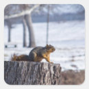 Pesquisar por natureza selvagem adesivos Neve