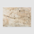 Pesquisar por madeira velha Textura