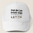 Pesquisar por dogs bones Beagle dog