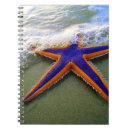 Pesquisar por beach cadernos de notas Tropical