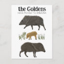 Pesquisar por arizona cartoes postais Deserto