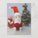 Pesquisar por christmas cat cartoes postais Kitty