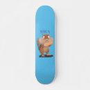 Pesquisar por roedores skates Esquilo
