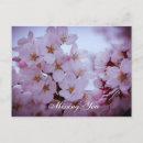 Pesquisar por cartas de amor cartoes postais For her