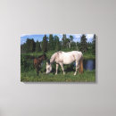 Pesquisar por potro impressão de canvas Cavalo