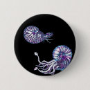 Pesquisar por galáxia espiral botons Cósmico