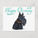 Pesquisar por scottish terrier cartoes postais Cães