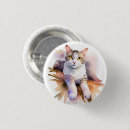 Pesquisar por gato botons Senhora do gato