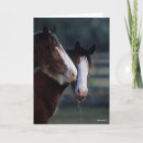 Pesquisar por clydesdale cartoes Foto