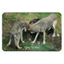 Pesquisar por homens lobo imas Lobos