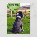 Pesquisar por border cartoes postais Dog