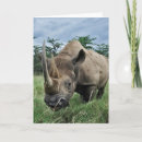 Pesquisar por rhinoceros cartoes Wildlife