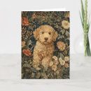 Pesquisar por goldendoodle cartoes Jardim