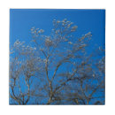 Pesquisar por ramos azulejos Outono