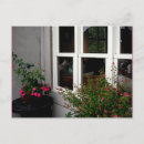 Pesquisar por janelas cartoes postais Flores