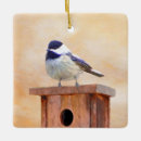 Pesquisar por birdhouse ornamentos Pássaro