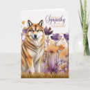 Pesquisar por akitas cartoes postais Cães