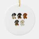 Pesquisar por salsicha ornamentos Animal