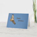Pesquisar por birds cartoes Red tailed hawk