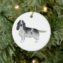 Pesquisar por cocker spaniel ornamentos Fofo