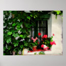 Pesquisar por janela de imagem pósteres pôsteres Imagens