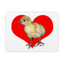 Pesquisar por perus selvagens imas Aves