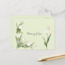 Pesquisar por tulipas brancas cartoes postais Flores