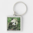Pesquisar por gigantes chaveiros Panda
