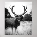 Pesquisar por cerveja pôsteres Impressão