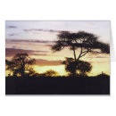 Pesquisar por árvore acácia cartoes postais Paisagem