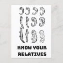 Pesquisar por cartão da evolução cartoes postais Darwin