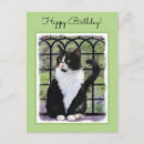 Pesquisar por terno preto cartoes postais Tuxedo cat