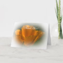 Pesquisar por california poppy cartoes Flor