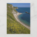 Pesquisar por dorset reino unido cartoes postais Costa jurássica