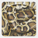 Pesquisar por python adesivos Animais