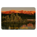 Pesquisar por mono cartoes Fotografia