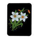 Pesquisar por tulipas pretas imas Branco