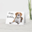 Pesquisar por beagle birthday cartoes Cão