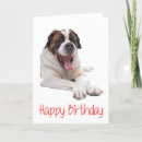Pesquisar por st bernard cartoes Puppy