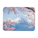 Pesquisar por flor de cerejeira imas Lago kawaguchi