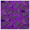 Pesquisar por espirais artesanato material Roxo