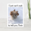 Pesquisar por cão da neve cartoes postais Para eles