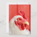 Pesquisar por galo engraçado convites Galinha