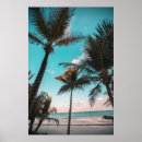 Pesquisar por orla Tropical