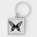 Pesquisar por borboleta marrom chaveiros Bonito